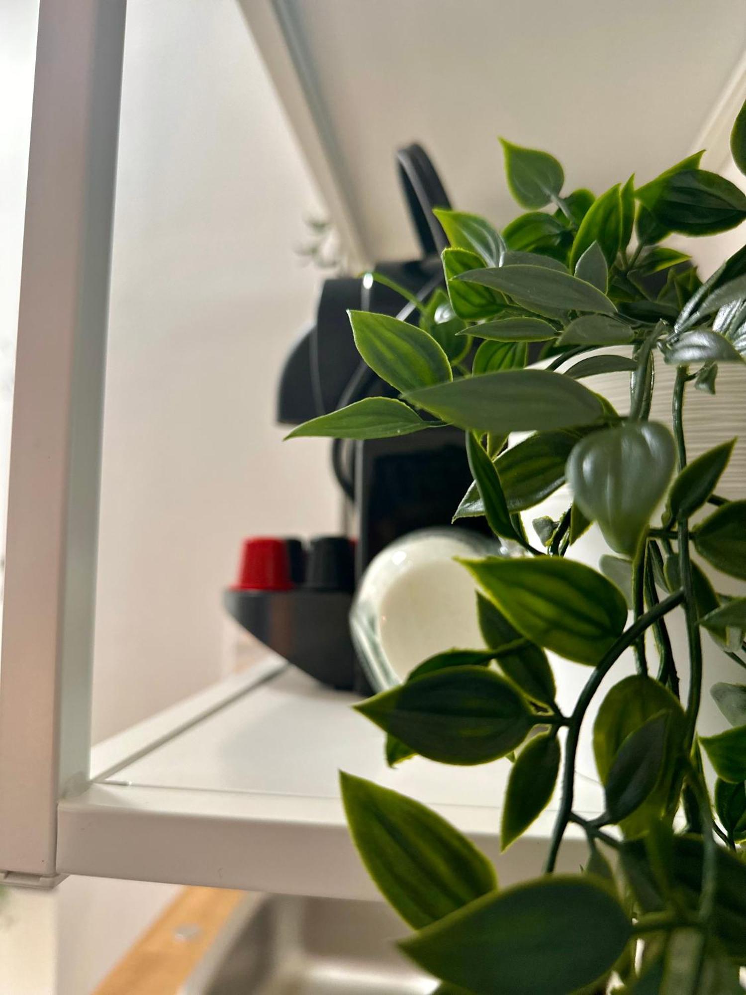 Cozy Centre Apartments بودابست المظهر الخارجي الصورة