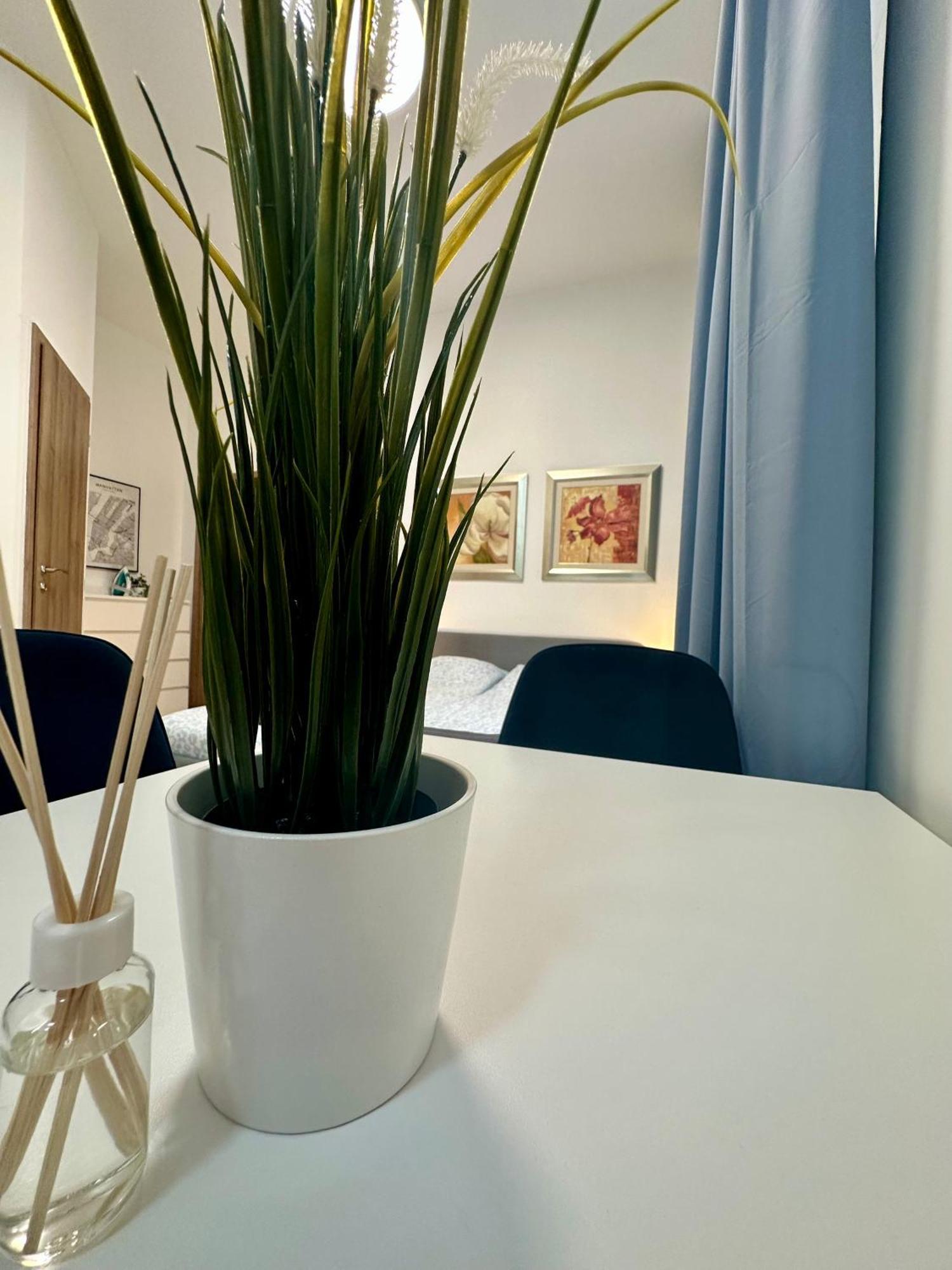 Cozy Centre Apartments بودابست المظهر الخارجي الصورة